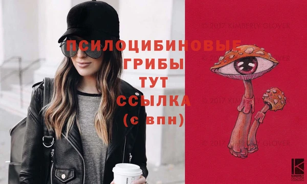 бошки Алексеевка