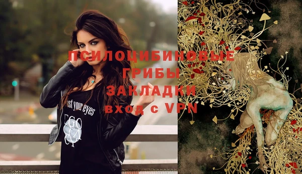 бошки Алексеевка