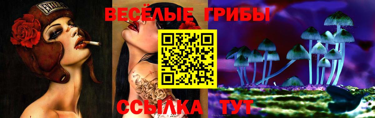 Галлюциногенные грибы GOLDEN TEACHER Туймазы